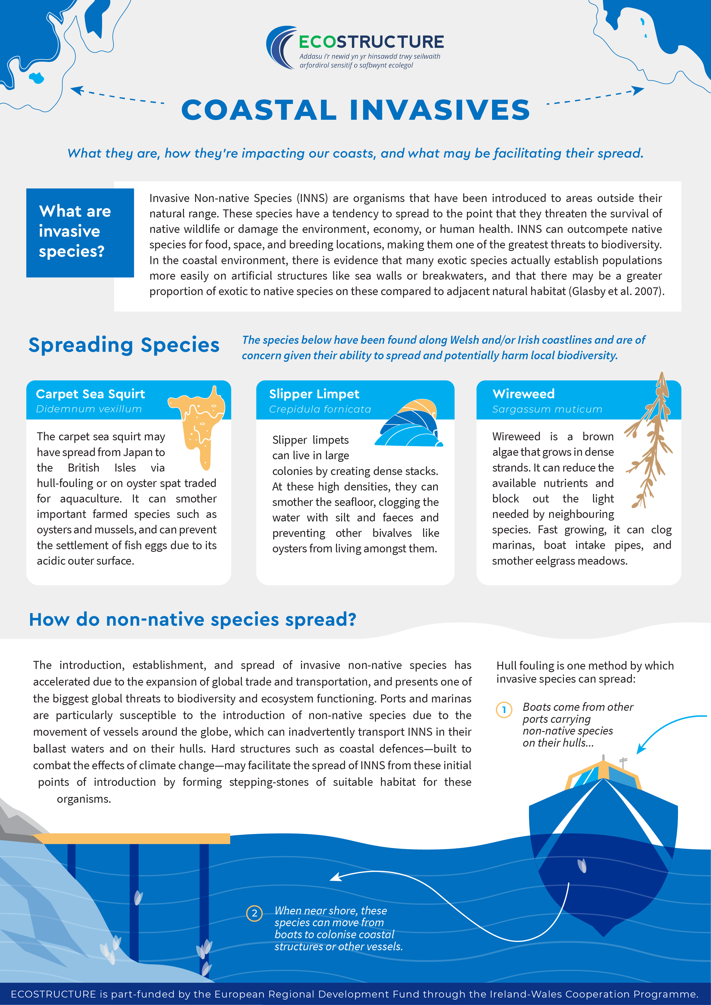 A fact sheet about marine invasive species created by Amy Dozier on the Ecostructure project. 