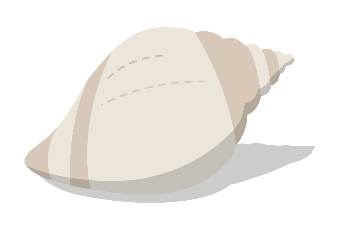 Dogwhelk graphic by Amy Dozier