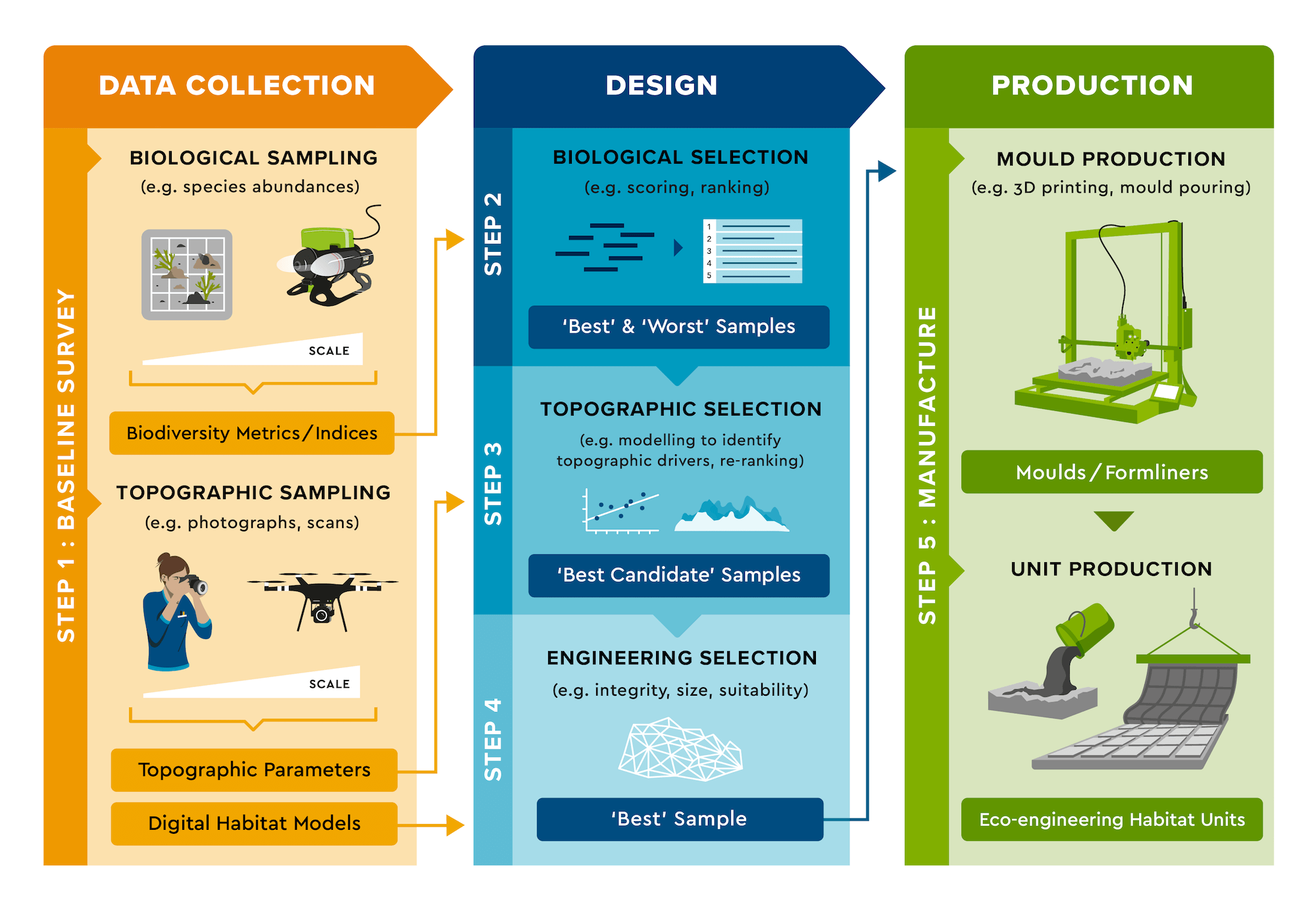 Figure showing Ecostructure’s five-step process for designing natural topography-based eco-engineering habitat units for marine artificial structures. Figure by Amy Dozier.