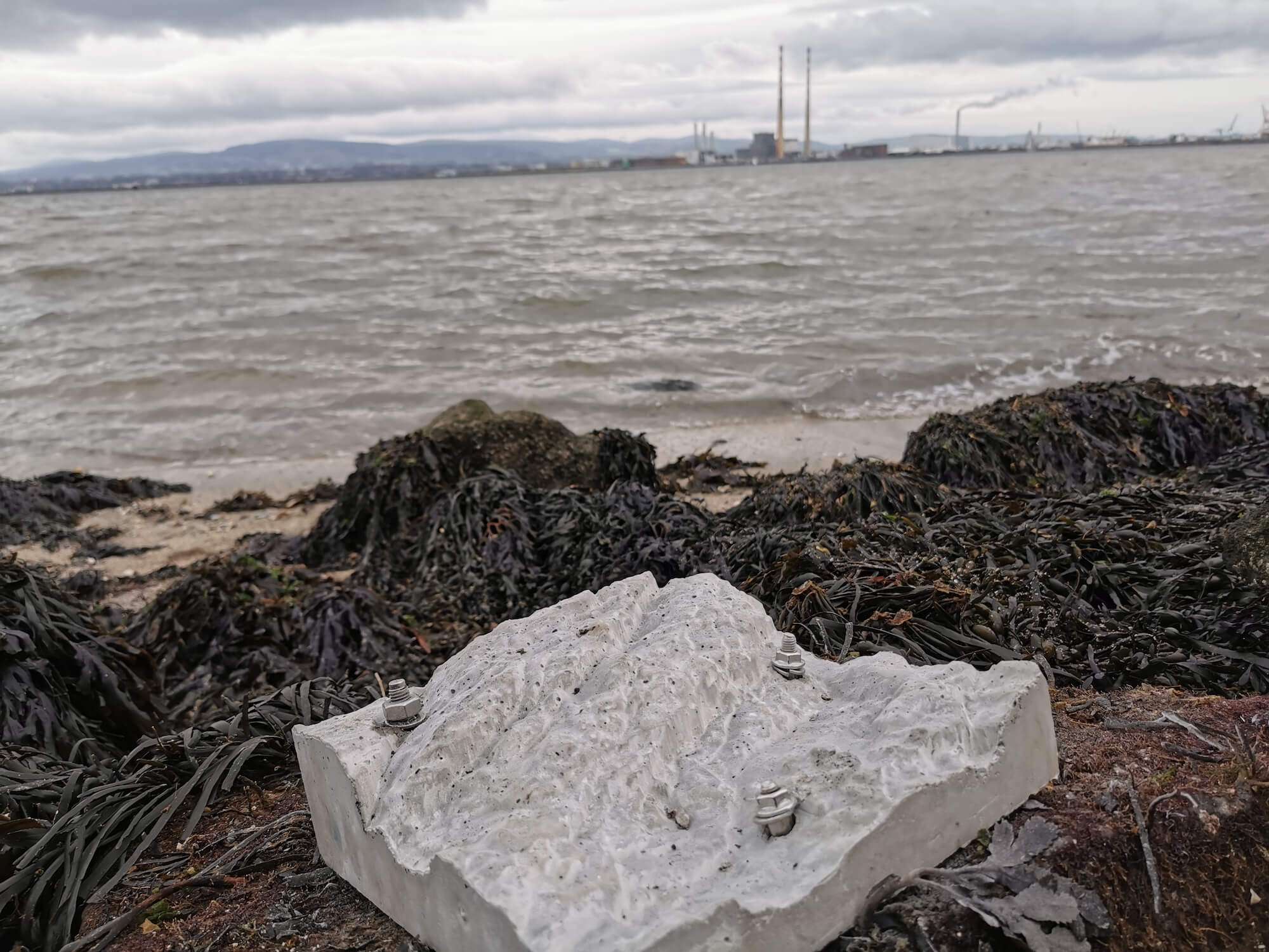 An experimental eco-engineered tile designed by Ecostructure researchers is deployed on the Dublin coast for experiments.